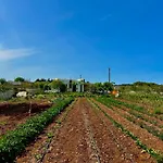 L'armino Vista Mare 度假居 *