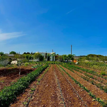 L'armino Vista Mare بيت للعطل *