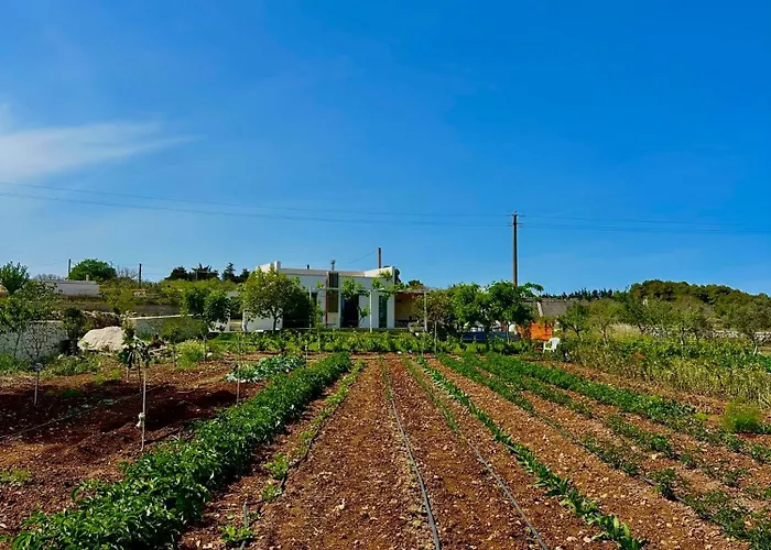 L'armino Tatil Evi *